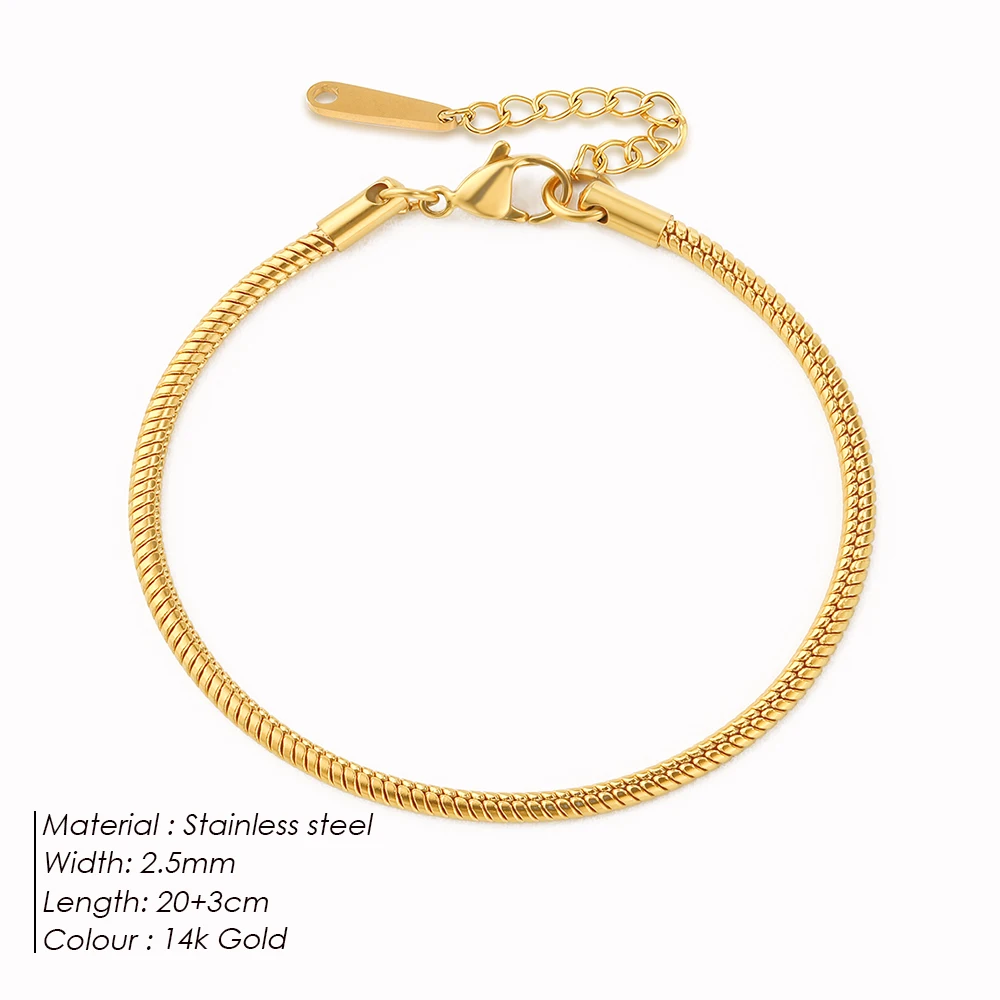 Women's Stainless Steel Round Snake Chain Anklet