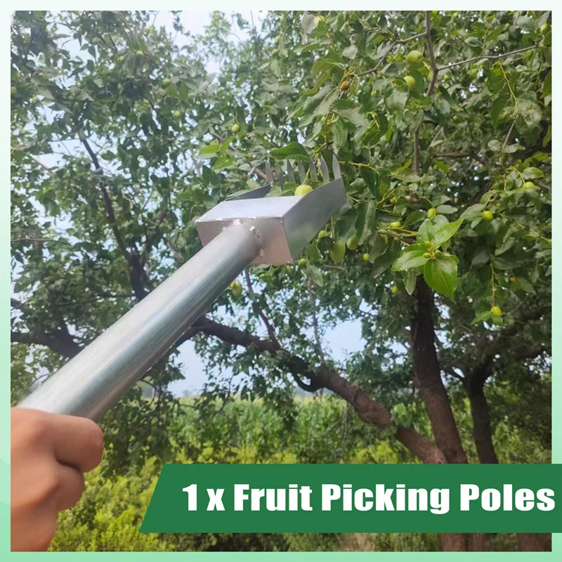 Fruit Picking Poles, Fruit Picking Baskets, Integrated Picking And Harvesting Systems For Mangoes, Oranges