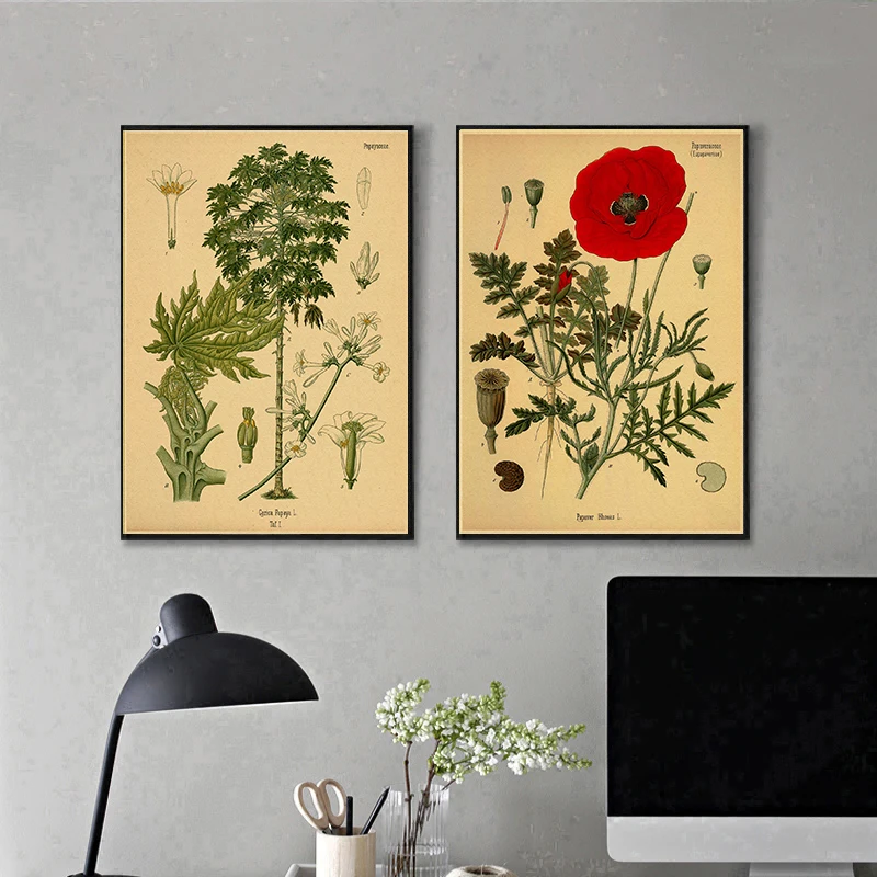 Botanical Posters Butterfly Insect Fruit Birds Fish Animal Kraft Paper Vintage Home Bar Cafe Decor Art Wall Painting Poster