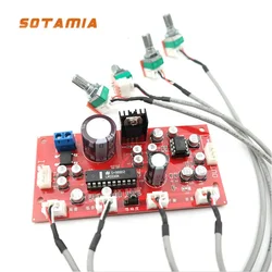 SOTAMIA LM1036 Tone Preamp Audio Board Treble Balance regolazione del controllo del Volume NE5532 OP AMP preamplificatore amplificatore di potenza fai da te