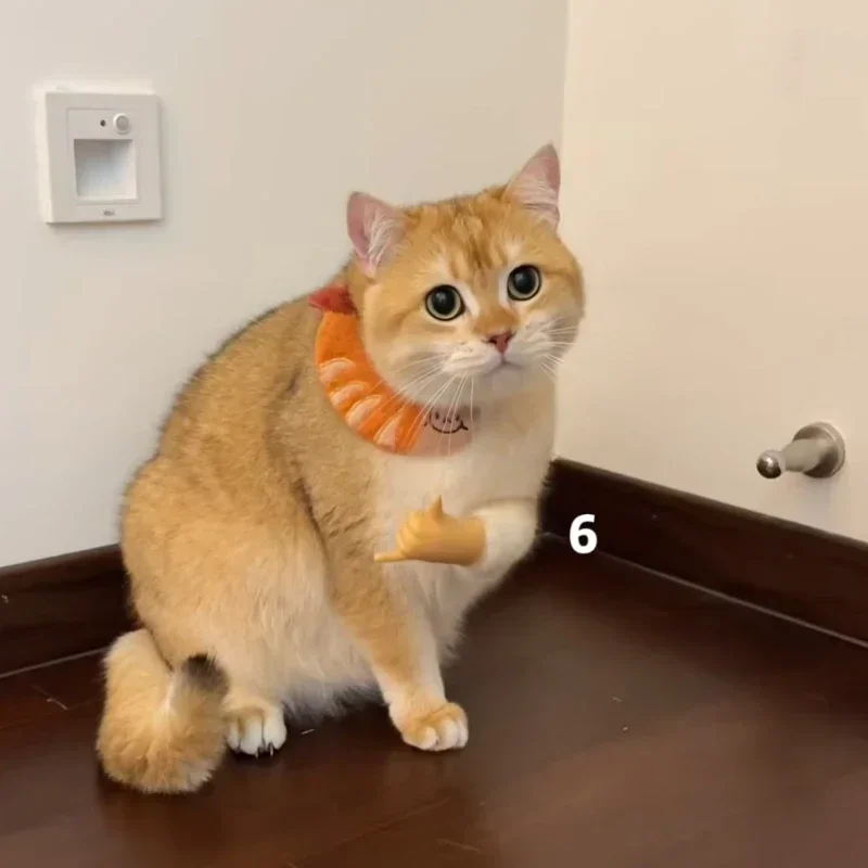 قفازات يد مزيفة للقطط قابلة للتمدد على شكل كف اليد ، ألعاب قطط سيليكون مضحكة ، أيدي صغيرة ، إيماءات إصبع إبداعية ، زينات القطط #5