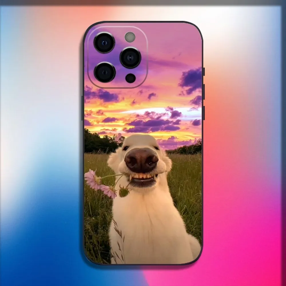 Golden Retriever Dog Pet Phone Case For iPhone 16,15,14,13,12,11,Pro,X,XS,Max,XR,Plus,Mini Soft Black Cover