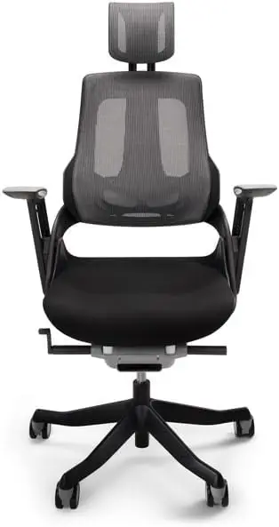 Pursuit Ergonomic Chair, Mesh Back Breathability, Take A Load Off, Freedom To Adjust (Black)