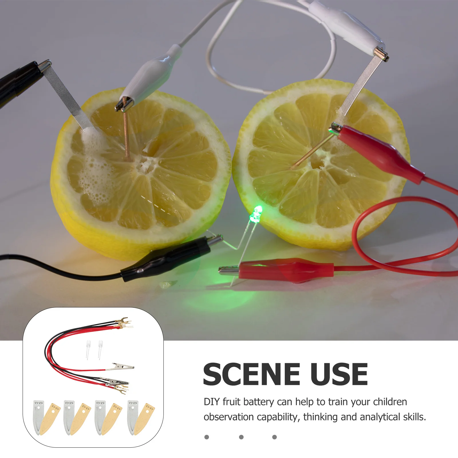 1 conjunto diy kit de experimento científico educacional de frutas para estudantes projeto científico treinamento de habilidades de pensamento analítico