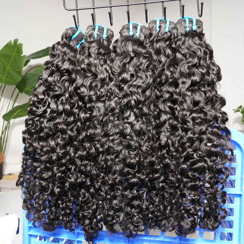 18A Burmese Curly B…