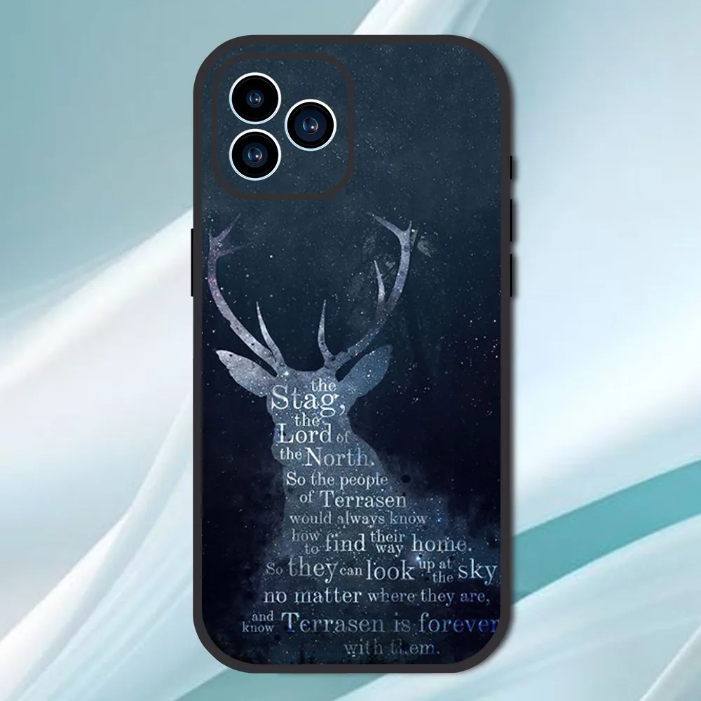 Throne Of Glass Phone Case For iPhone 13 12 11 14 15 Pro XS Max XR X 8 7 6S 6 Plus SE 2020 Soft Back case