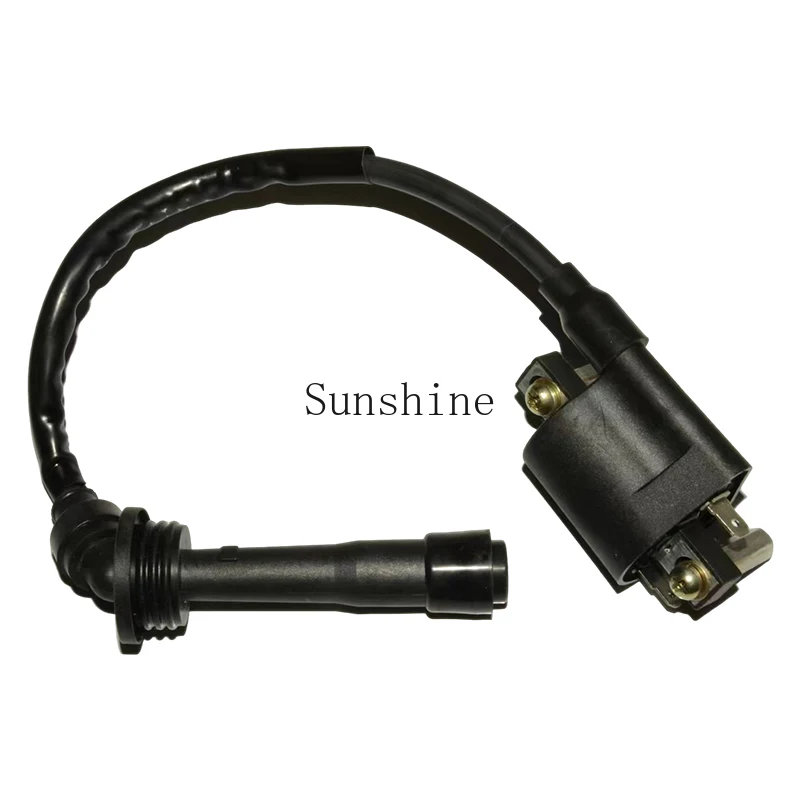 

Applicable to Qianjiang Sai 250 Xiaohuanglong 250-15 Cub 250 Xiaojinpeng 251 High Voltage Package Ignition Coil
