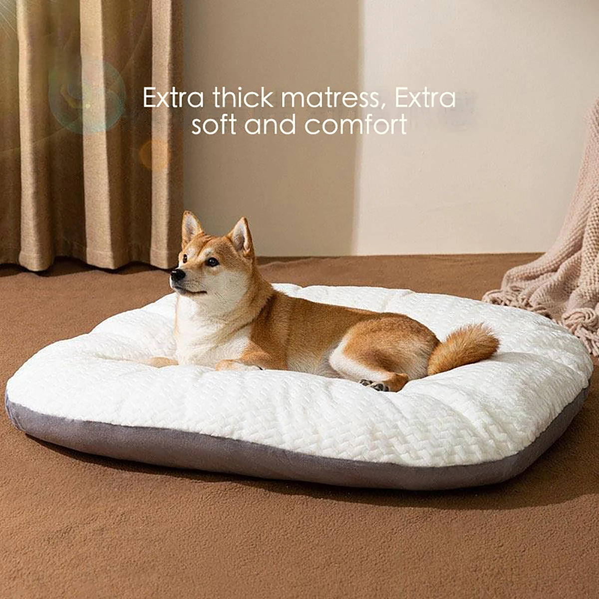 Oval Shape Cushion for Large Dogs, Comfortable Dog Bed, Washable Beds for Crates, Free Shipping