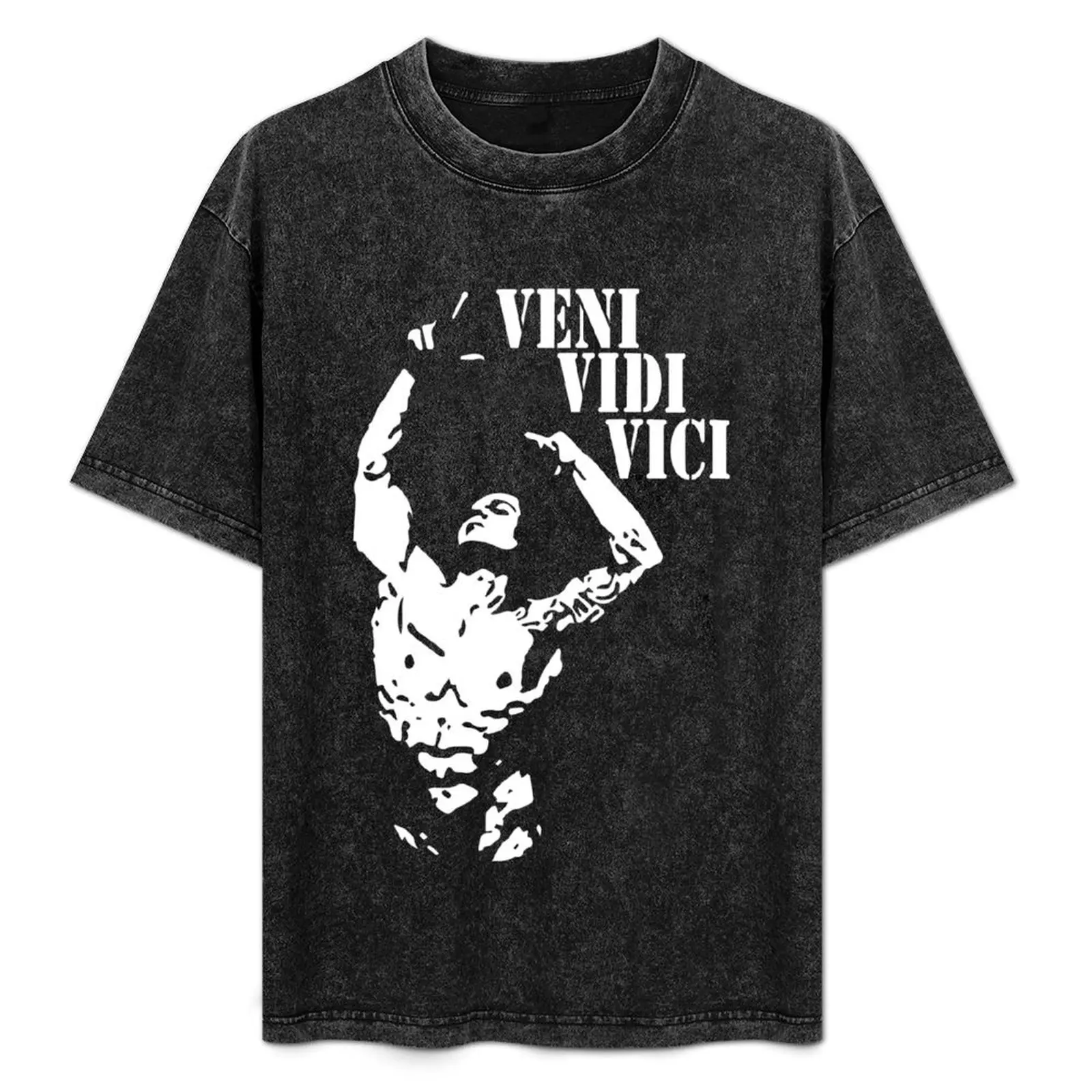 

Zyzz veni vidi vici T-Shirt quick drying anime figures tshirts personalised custom t-shirts t shirts for men