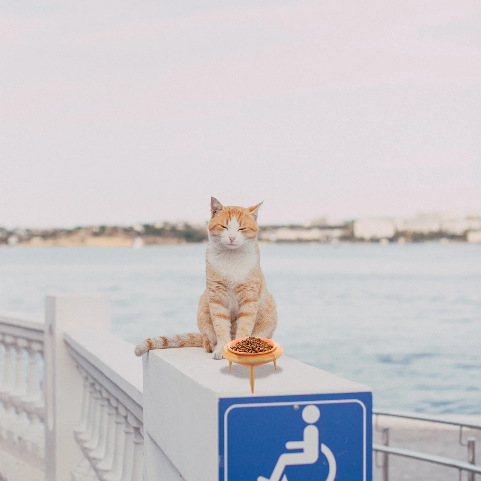 

Cat Dog Raised Food Bowl Ceramic Feeding Bowl Storage Rack Pet Accessory Safe Ceramic Wood Materials Protect Cervical Spine