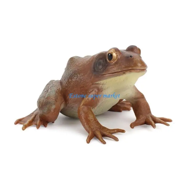 

090B Kids Trick Toy Plastic Made Realistic for Frog Creative for Age 6+ Kids/Adul