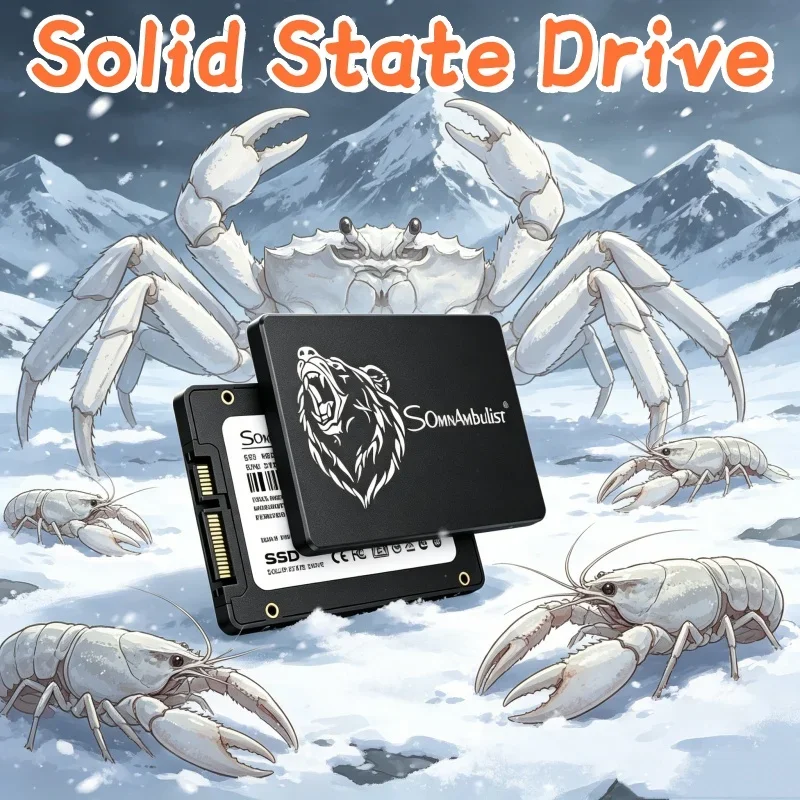 

Refulgent SomnAmbulist 2.5 Inch SATA3 SSD 120GB 240GB 480GB 960GB 128GB 256GB 512GB 1TB Volant Built-in Solid State Disk