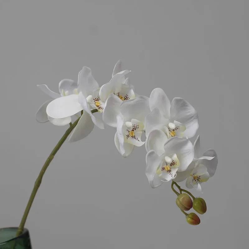 

5Pcs Artificial Latex Phalaenopsis Flower Wedding Floral Road Guide Party Home Decoration Ornaments Real touch Butterfly Orchid