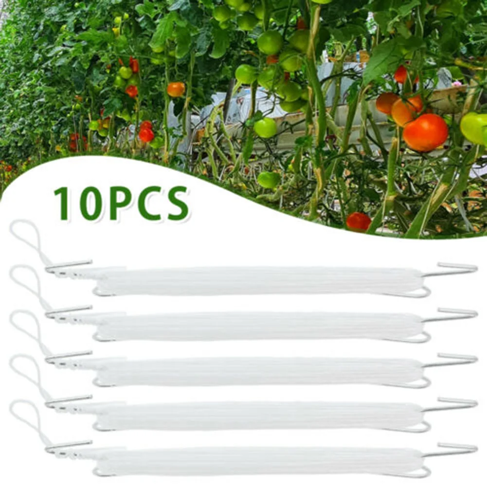 10 Pack Tomato Support Hooks Hot Galvanized Metal Hooks with 10 Meter Nylon Rope for Greenhouse Vine Crop Management