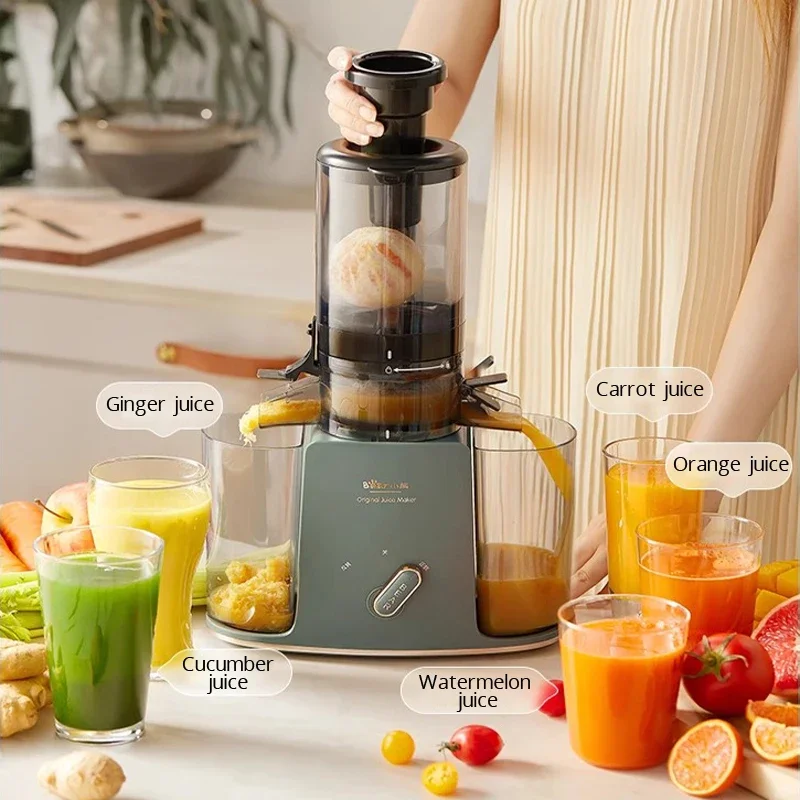 220V Slow Juicer Cold Press Electric Juice Extractor Lemon Fruit Juice Maker Blender Easy Clean Can Make Ice Cream Crushed Ice