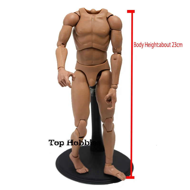 Figura de acción de cuerpo masculino a escala 1/6, cuerpo de V1-N de hombro estrecho apto para la serie A Man Headsculpt modelo escultura de cabeza coleccionable