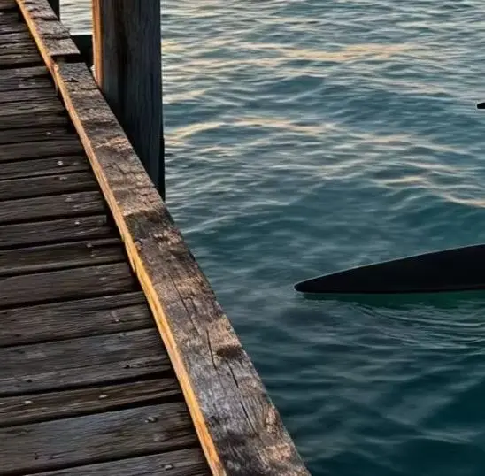 1160 Hydrofoil High Aspect Front Wing Mediterranean Coastal Surf Pumping Long Glide Performance