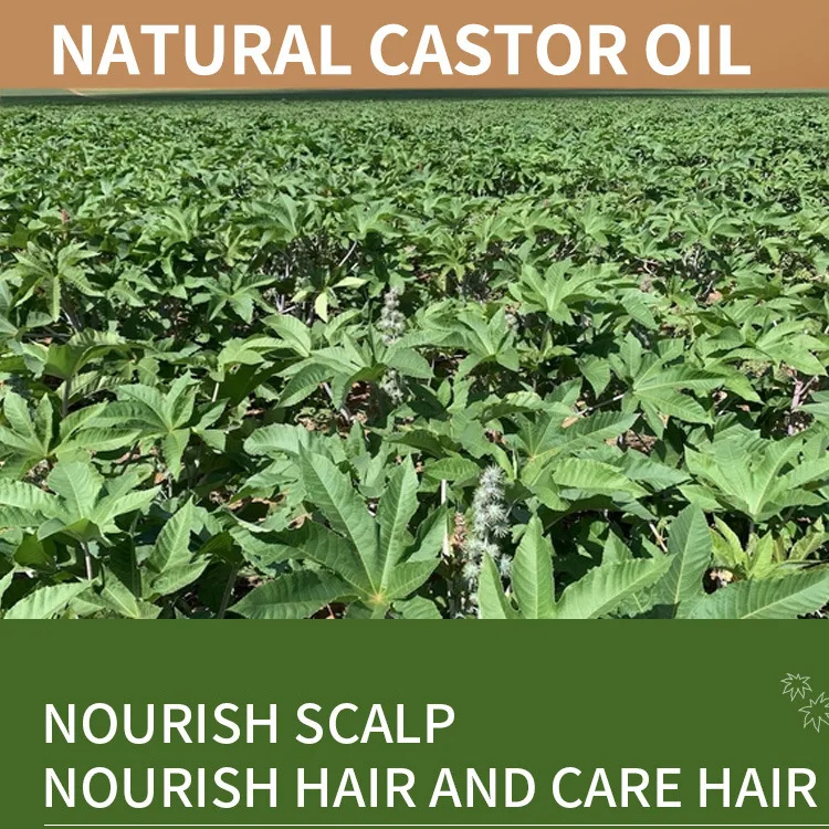 100ml 100% Pure Castor Oil Essential Oil