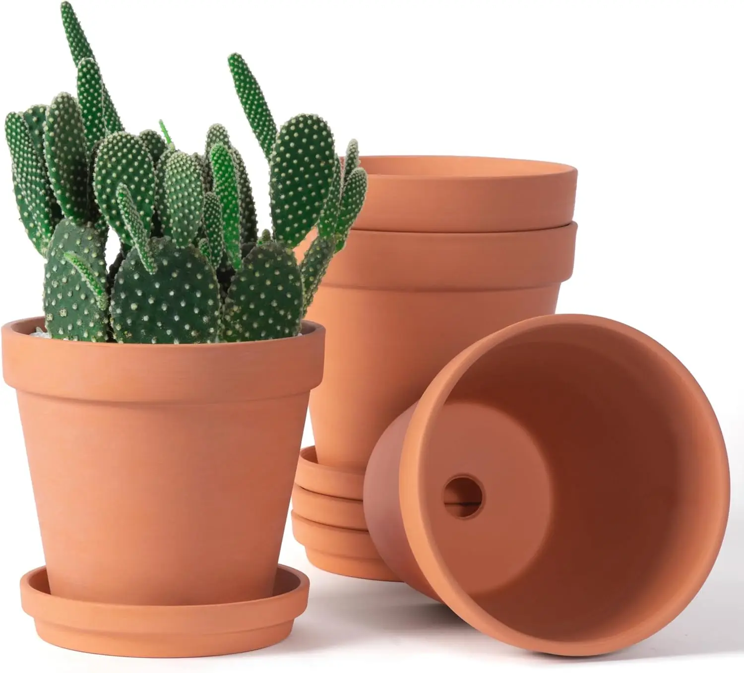 Macetas de Terracota de 6 Pulgadas con Plato y Orificio de Drenaje, Paquete de 4 para Plantas de Interior y Exterior