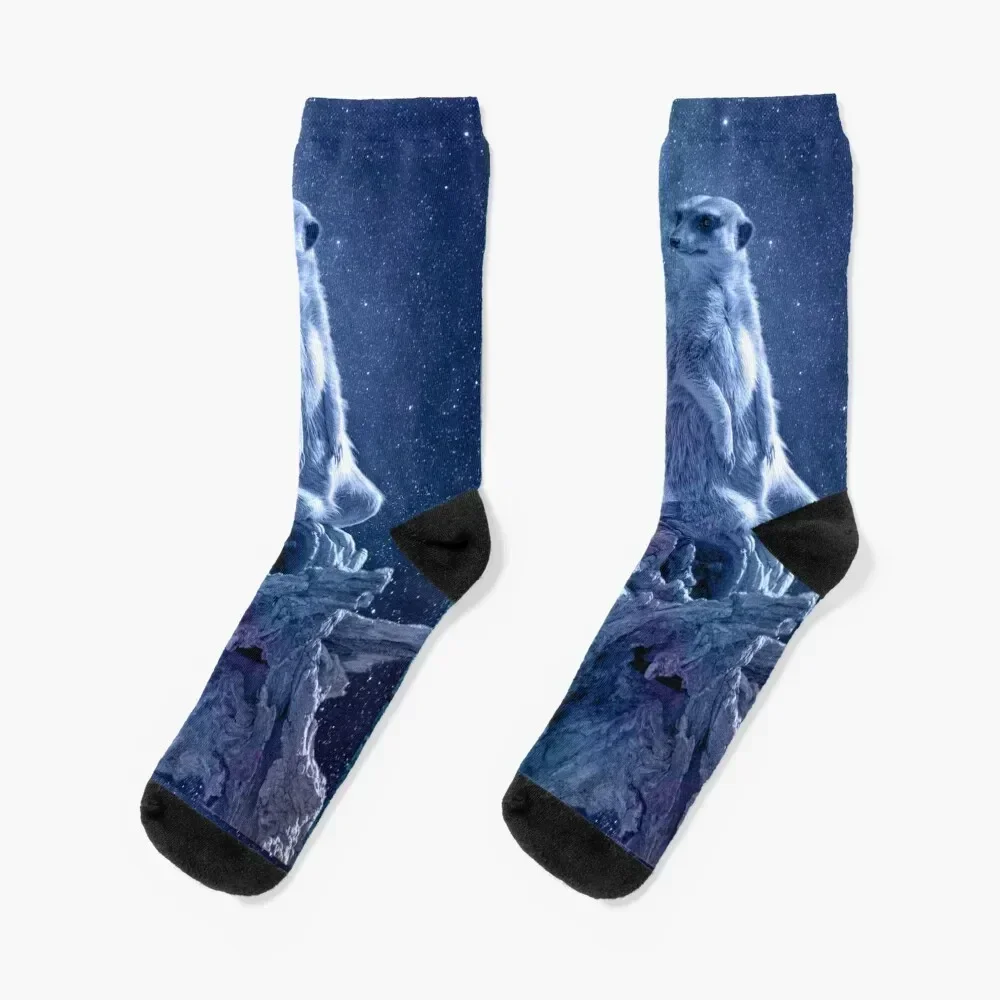 Smooth Space Meerkat Socks anti-slip Stockings Antiskid soccer compression Men's Socks Luxury Women's