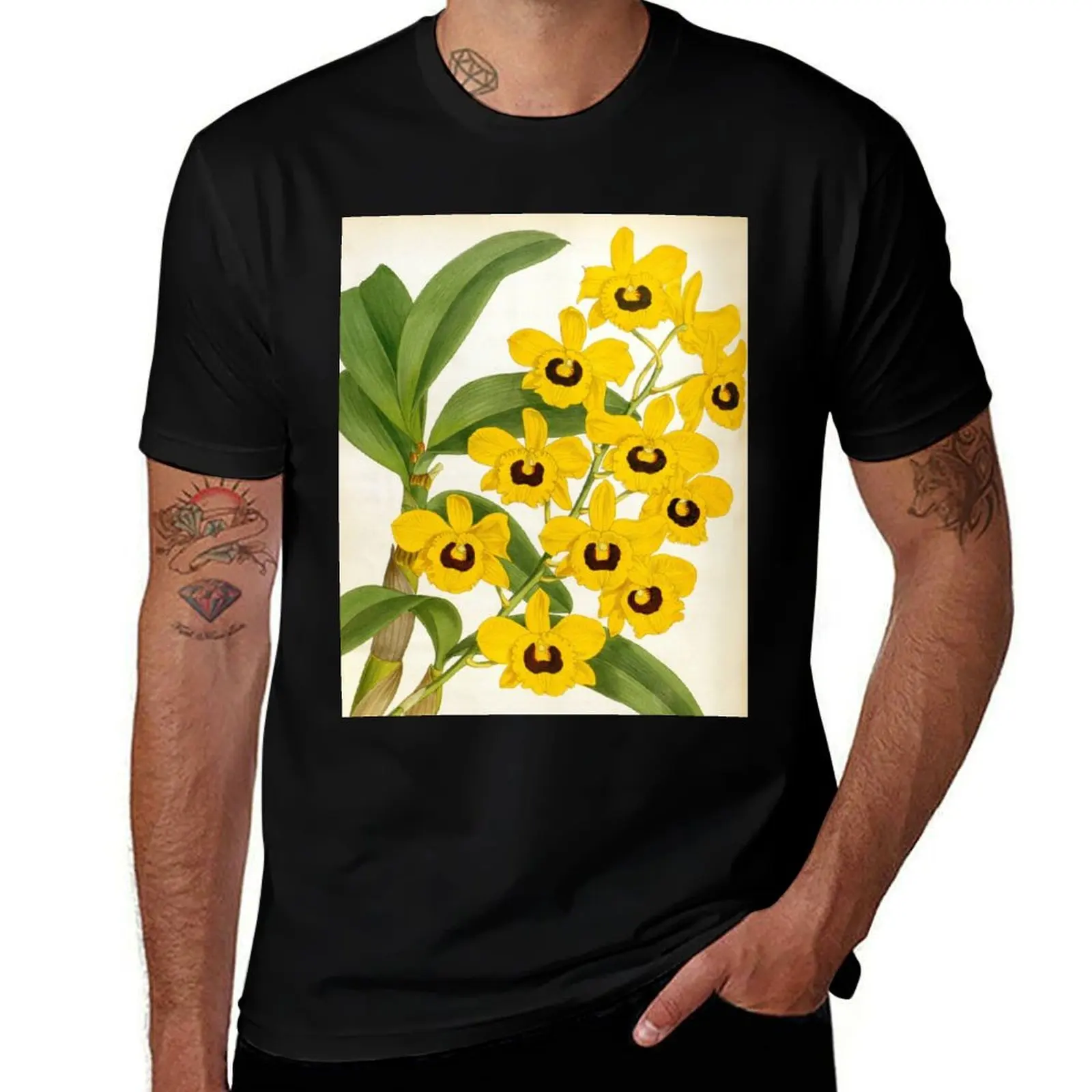 Vintage Dendrobrium Suavissimum Orchids Lindenia Collection T-Shirt Standard Fit Solid Tee Shirt T-Shirt