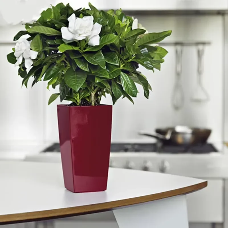 for New Indoor Plastic Self Watering Plant Pot Middle Size Garden Flowerpot for Office Home Window Decor