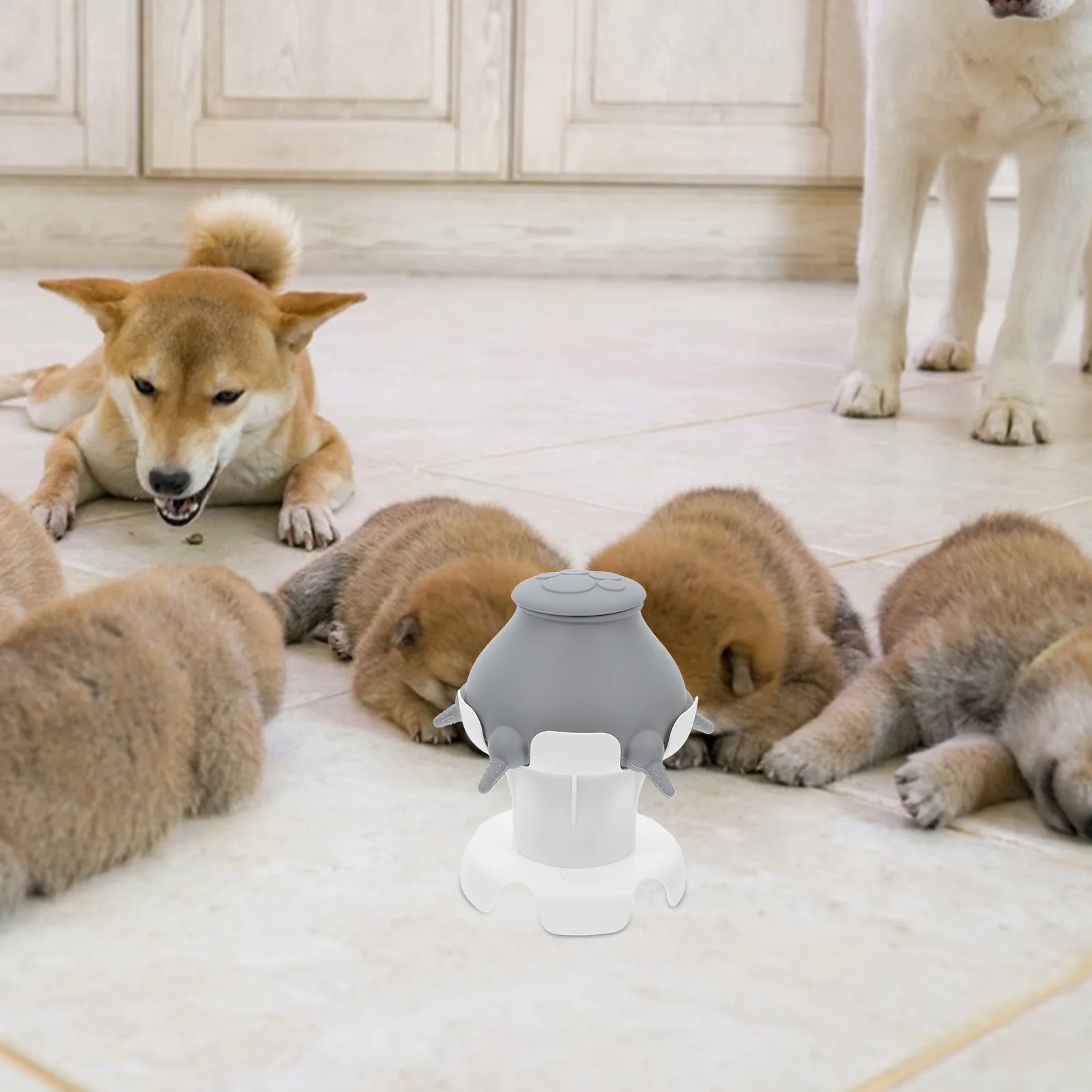 

Multi Puppy Bowl 4 Nipples St Safe Silicone Pet Feeder Kitten Puppy Feeding Pacifier Nursing Station Water Container