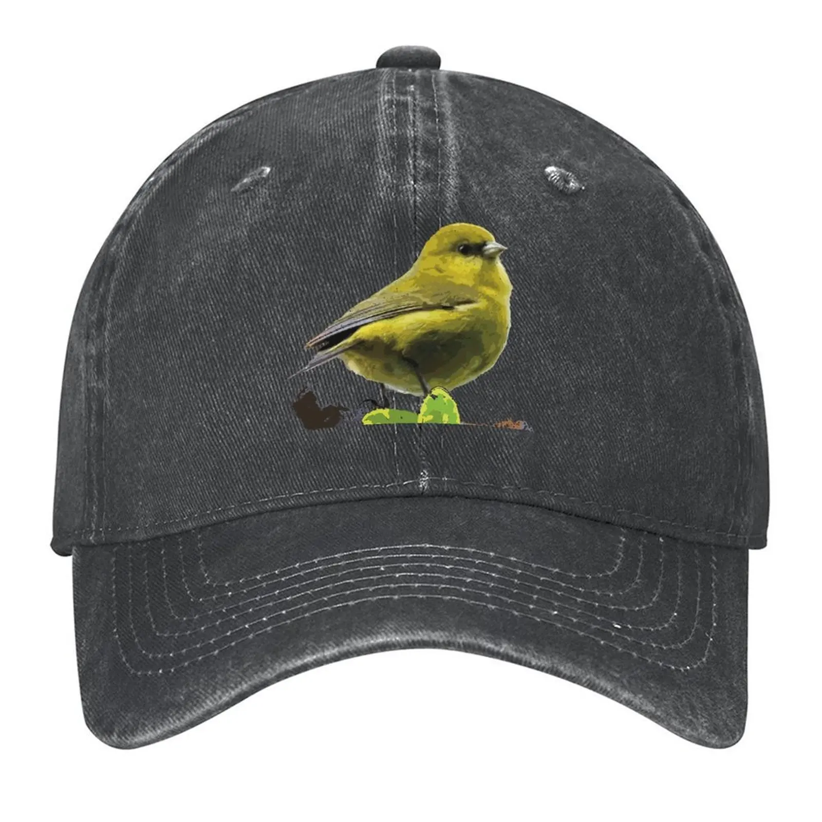 

Akeke e, Kaua i Honeycreeper Baseball Cap western Hat Golf Wear Ball Cap sun caps Boy Women's