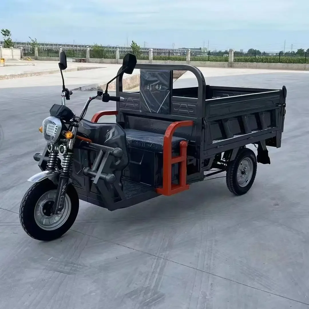 Factory Direct Sale Popular Model Triciclo Electrico 1000W Motor Electric Cargo Tricycle Vehicles For Sale