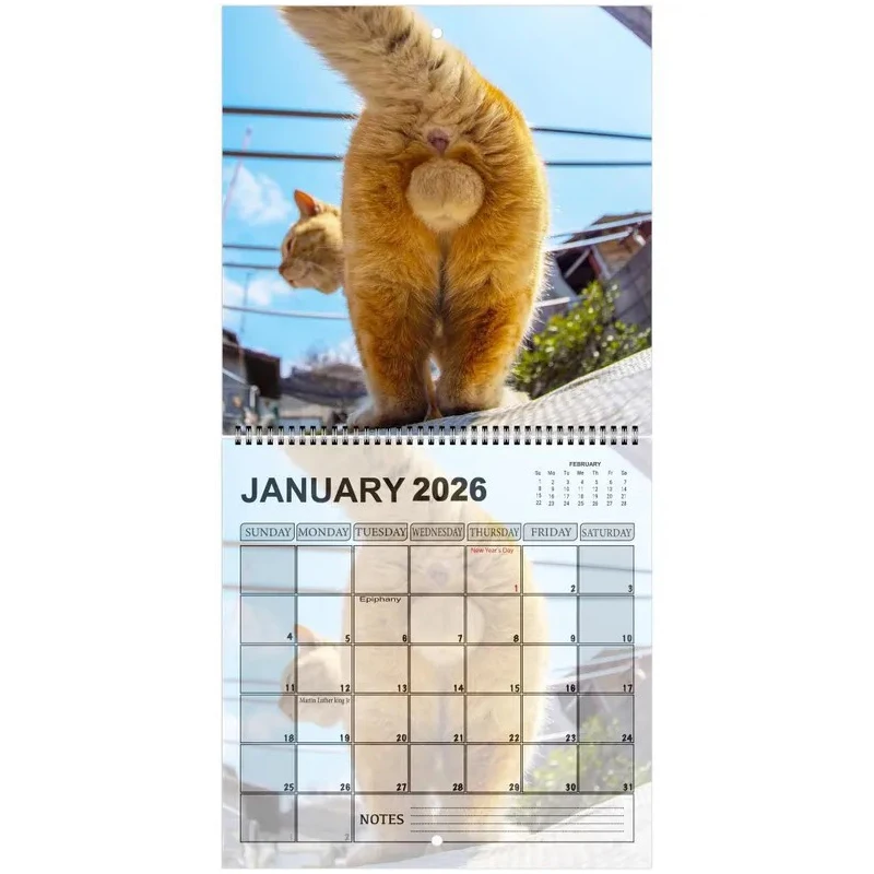 القط بعقب التقويم 2026 12 الشهرية مضحك القط الذيل جدار التقويم الأسرة مخطط جدولة أداة لغرفة المعيشة غرفة نوم