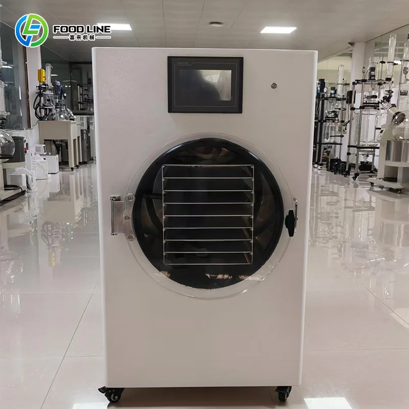 

Electric Freeze Dryer Vacuum for Home Use Easy-clean Stainless Steel Appliance for Candy Fruit Food Support Customized