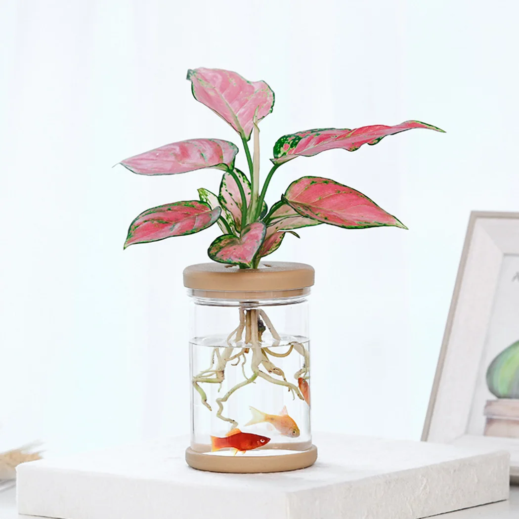 Transparent Flower Pot Set 2PCS for Small Potted Plants Practical Design with Strong Durability and Water Saving Features