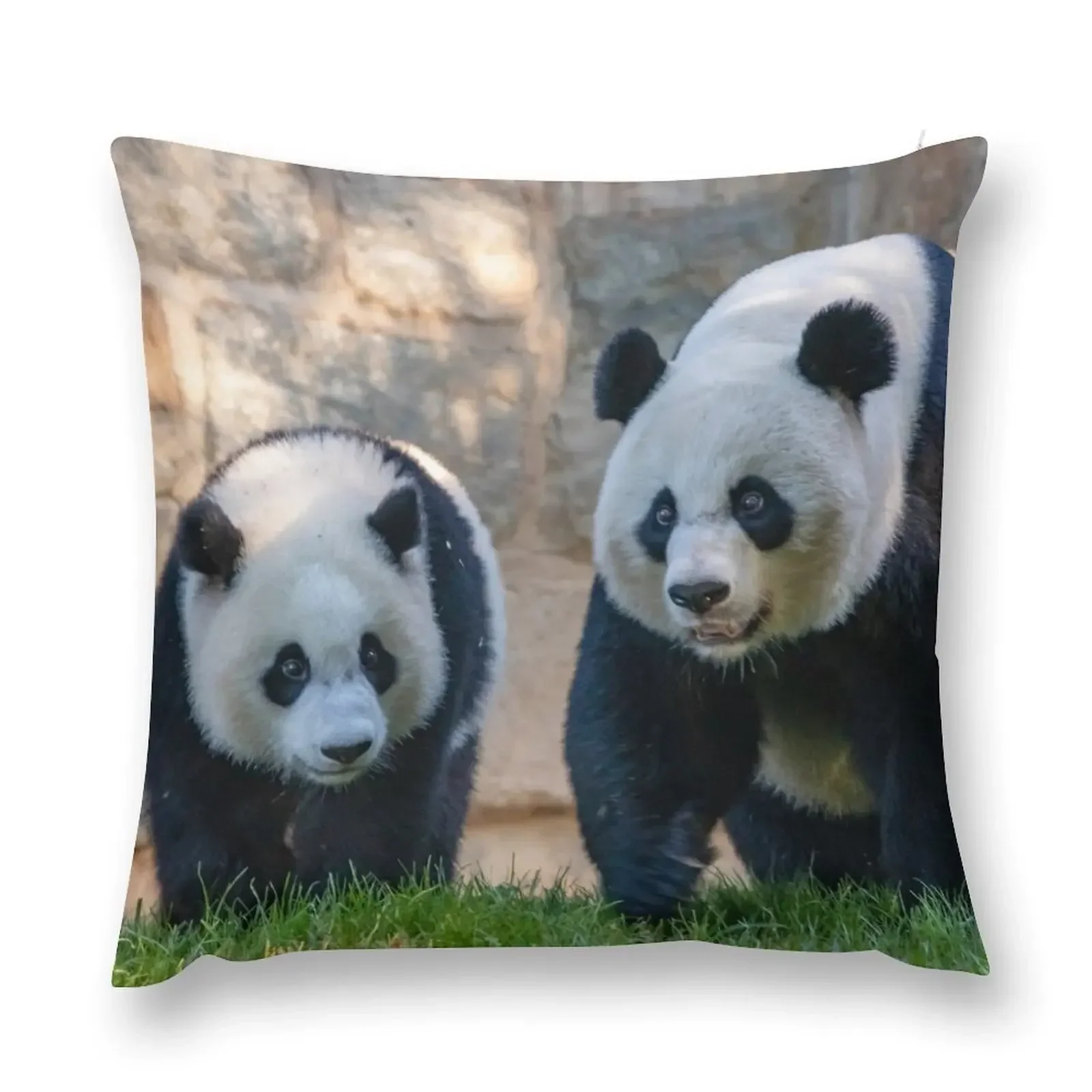 

Giant Pandas Xiao Qi Ji and Mei Xiang at the Smithsonian's National Zoo Throw Pillow Custom Cushion pillow