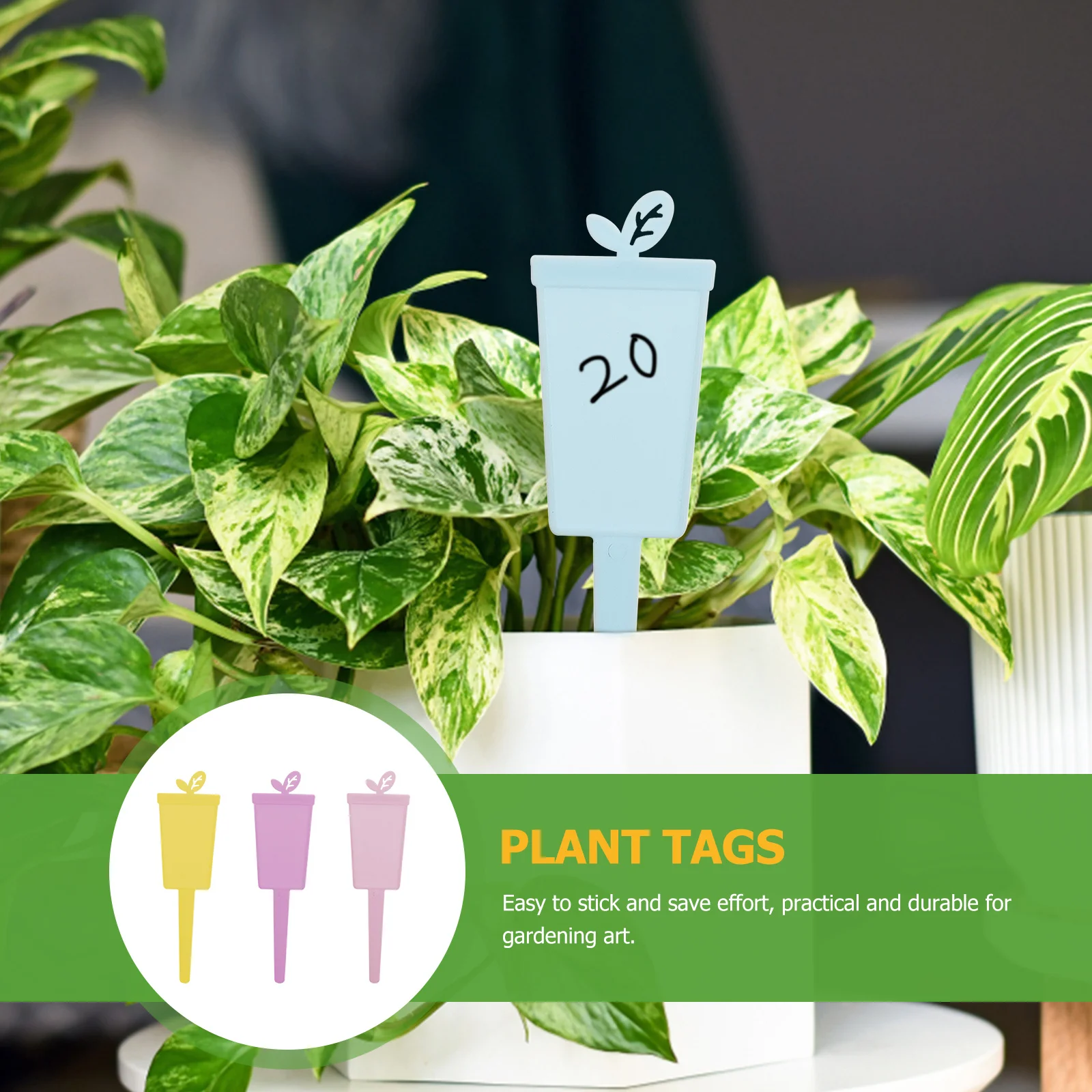 

60Pcs Plant Tags Garden Labels Practical Easy to Use Safe Wear Resistant Plant Tags Gardening Label Flower Labels