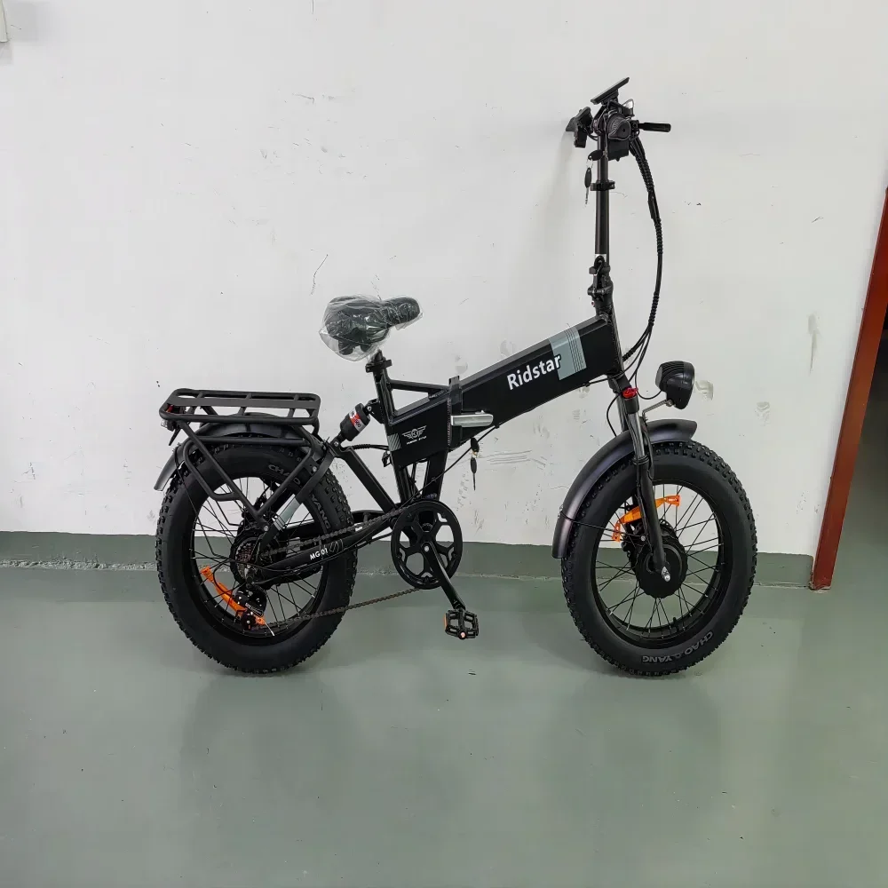 2024 New H20 Pro Mountain E-bike 2000W Powerful Dual motor Snow Electric Bicycle 48V 23AH 20inch*4.0 Fat Tyre Foldable Ebike