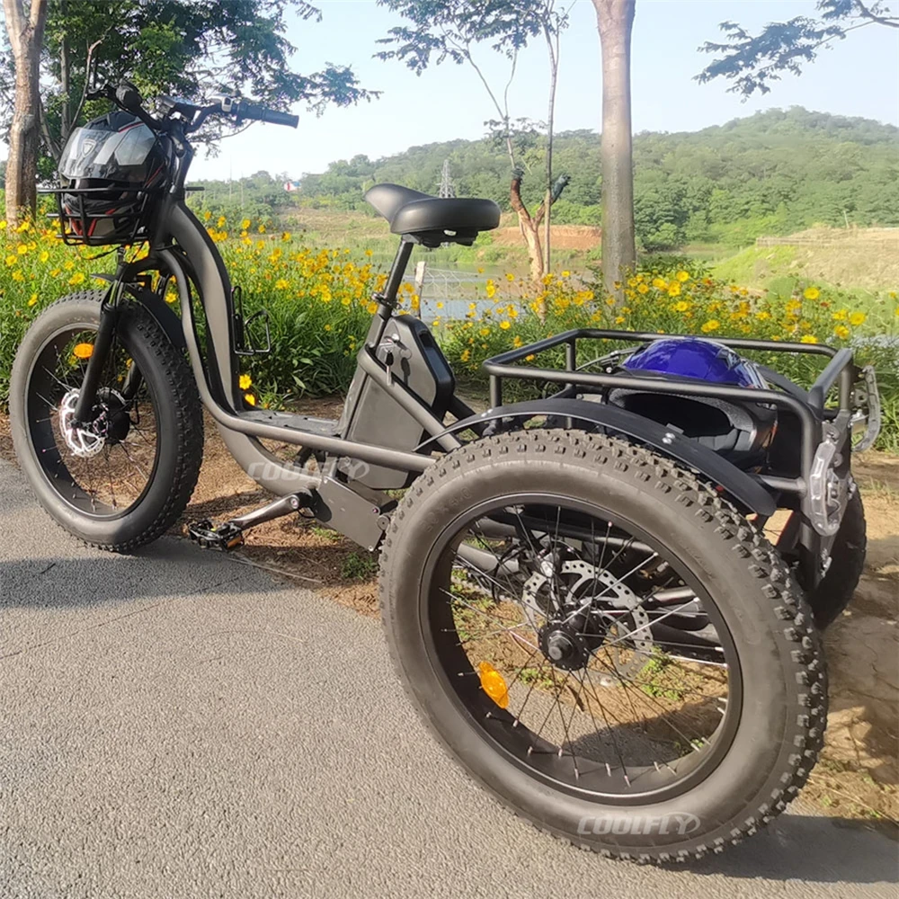 

Самые популярные взрослые электрические трициклы 48В 750Вт 1000Вт 24Ач, трехколесный электровелосипед-трайк для продажи