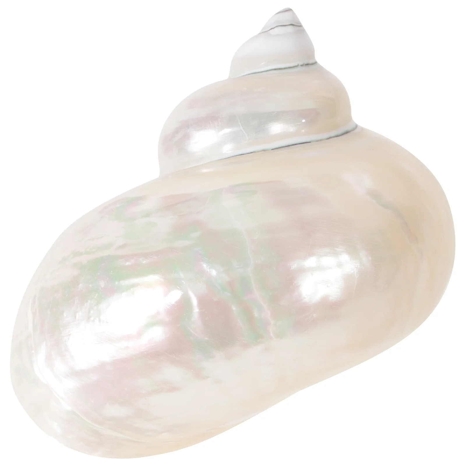 

Night Glow Hermit Crab Shell Sea Conch Small Compact Durable Fish Tank Landscaping Aquarium Decoration