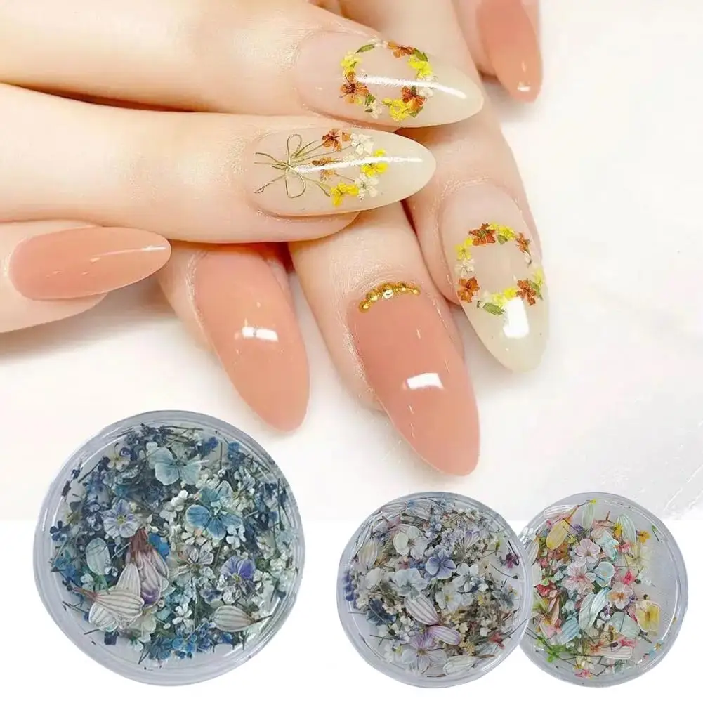 

Nail Ornaments Non-falling Paste Easily Oil Painting Series DIY Mini Natural Dried Flower Nail Art Decorations Nail Art Charm 1