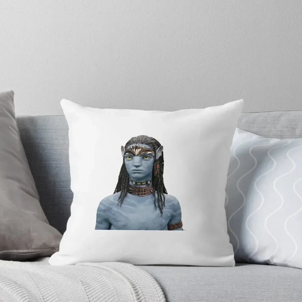 

Neteyam Throw Pillow luxury sofa pillows Luxury Pillow Cover pillow
