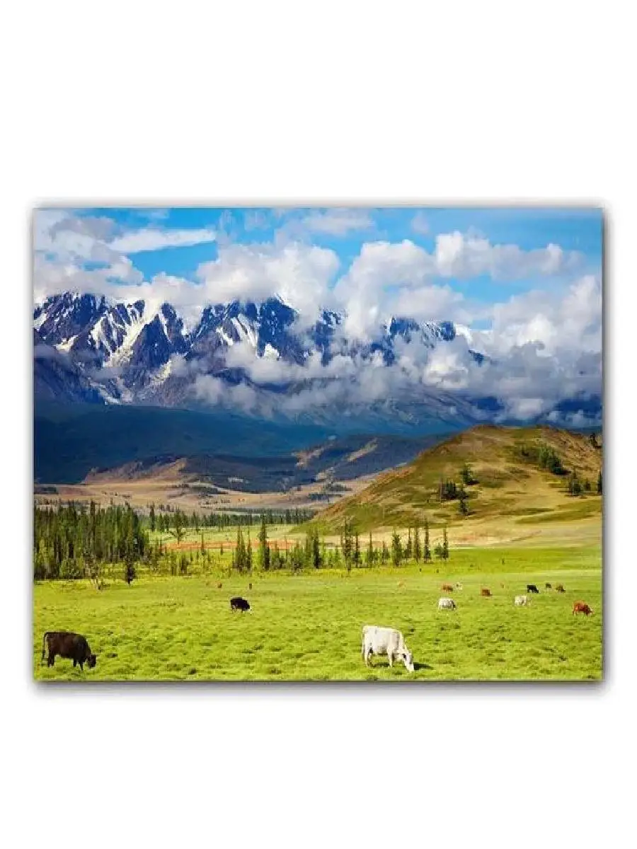 Mountain Forest Snowscape Canvas Art  Nature Scenery Wall Prints for Living Room Decor