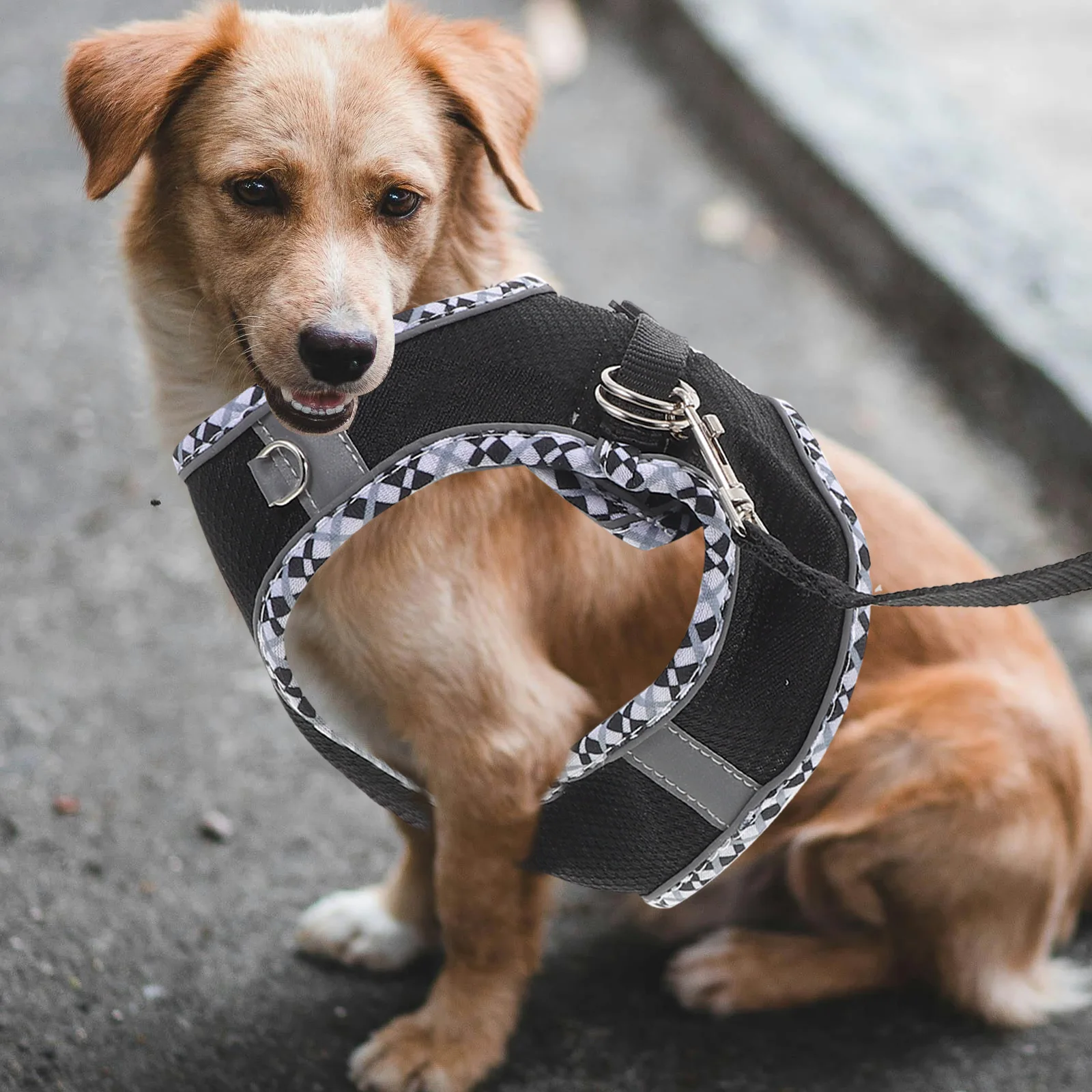 

Pet Carrier Dog Accessory Walker Adjustable Harness Pink L Polyester Multifunctional Wear Outdoor Activity