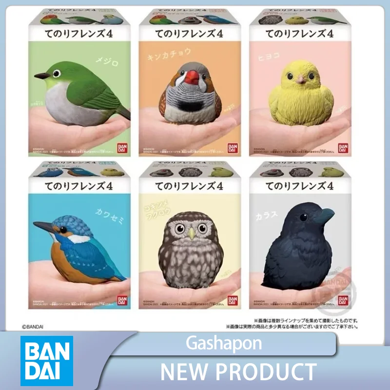 Bandai Original Gashapon Duck Parrot Crow Sparrow  Kingfisher Owl Shoebill Mini Bird Model Animal  Action Figure Decorations Toy