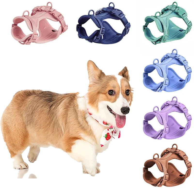 Dog PVC Harness Puppy Adjustable Outdoor Harness Vest Walk Training Fashion Pet Chest Strap Pet Harness for Small Medium Dog