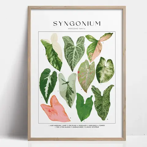 1 st gröna botaniska löv inomhuskonsttryck krukväxter natur inomhus väggdekoration lugnande poster lövverk och växter 6 best sales naturaffisch - №1
