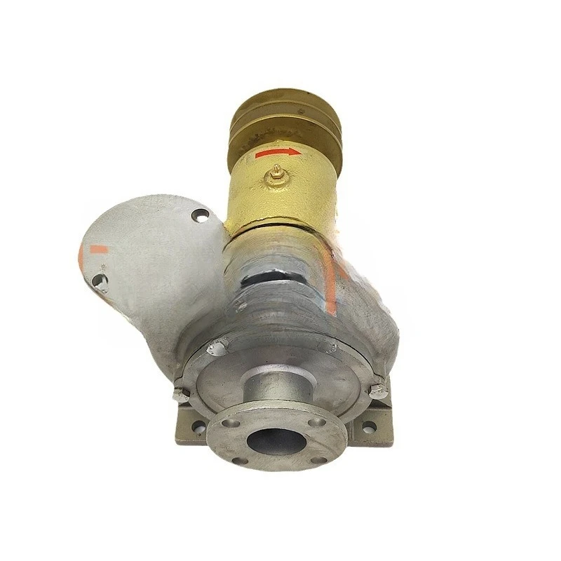

Marine water pump Centrifugal pumping 1 inch Anti-corrosion stainless steel seawater