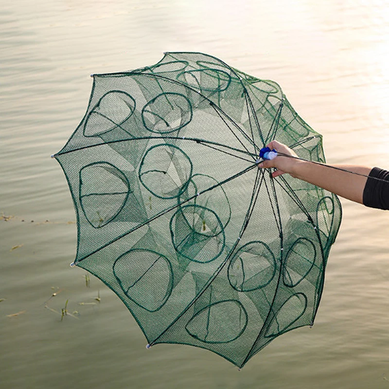 china hexagonal fishing net 1pc 4-20 Holes Fishing Net Folded Portable Hexagon Fish Network Casting Net  Crayfish Shrimp Catcher Tank Trap China Cages Mesh