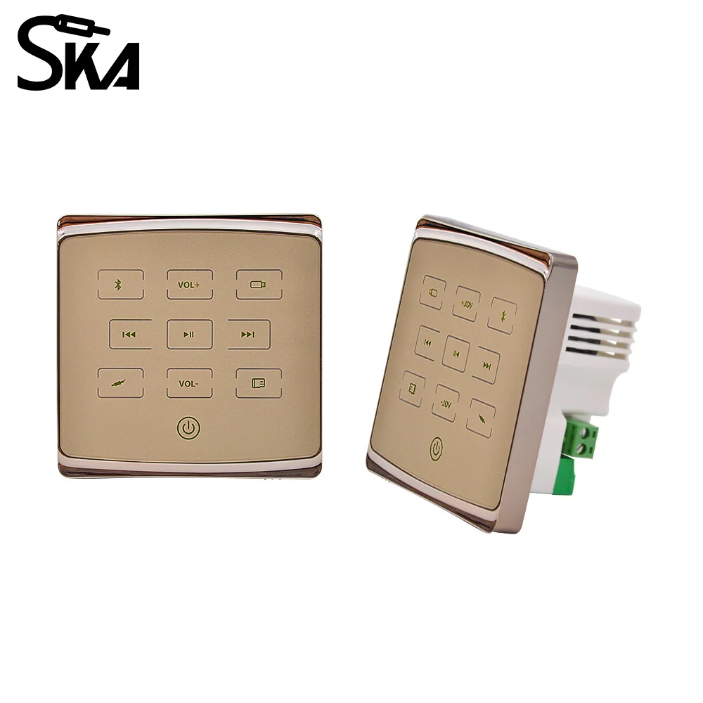 amplificatore-audio-scheda-amplificatore-audio-2-canali-smart-home-bluetooth-sound-box-home-background-music-pannello-audio-per-house-hotel