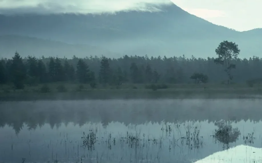 

Flywoo Flybee 16/20 FPV Frame Kit - Compatible with O3 Lite/O4/Walksnail/HDZero