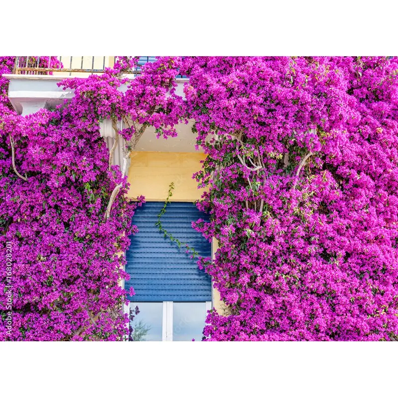 NITREE Art Photography Backdrops Prop Flower Wall Wedding Valentine's Day Photo Studio Background Props HHQQ-04