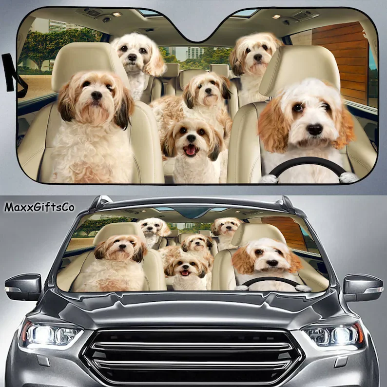 

Cavachon Car Sun Shade, Cavachon Windshield, Dogs Family Sunshade, Dogs Car Accessories, Car Decoration, Cavachon Lovers Gift